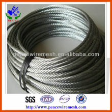 Various Specs Steel Wire Rope (GHW06)